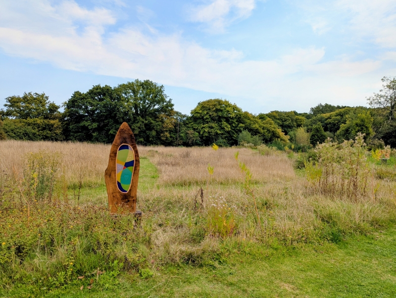 Black Shed Studios Garden